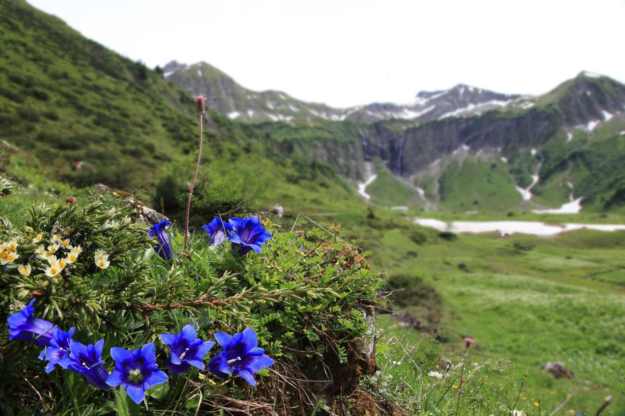Brunnenhof Oberstdorf - Ferienwohnungen Mit Hotel Service Buitenkant foto