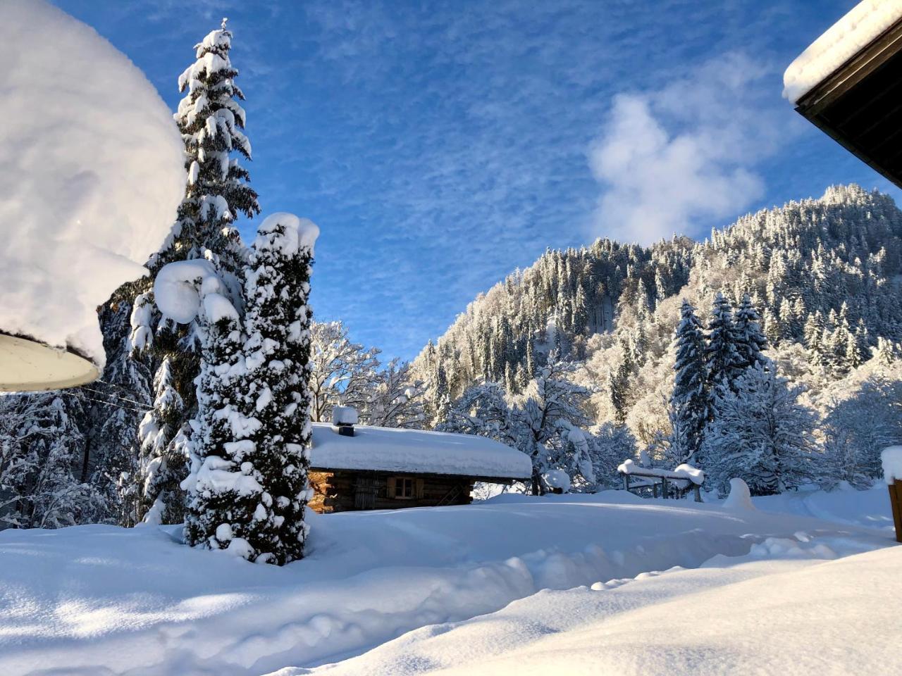 Brunnenhof Oberstdorf - Ferienwohnungen Mit Hotel Service Buitenkant foto